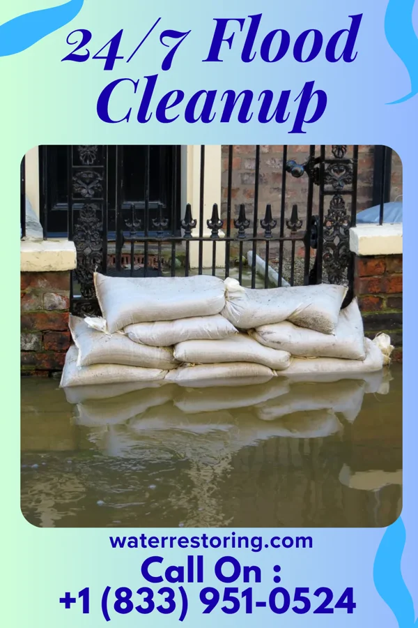 24/7 Flood Cleanup in Valier, IL