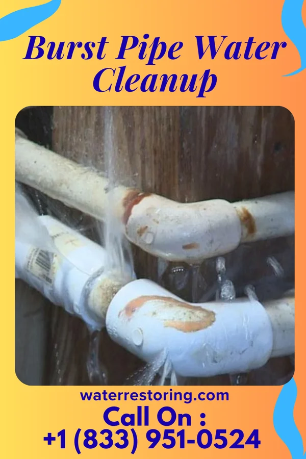 Burst Pipe Water Cleanup in Valier, IL